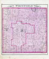 Westfield Township, Friendville, Leroy P.O., Medina County 1874